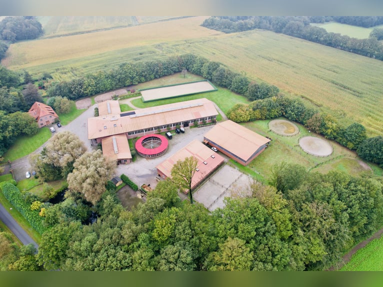 Luxurious equestrian estate with ample living space and comfort