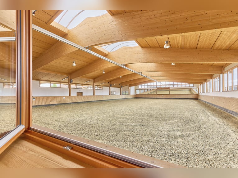 Luxurious estate with equestrian facilities near Fulda in Hesse – Wellness, horseback riding, and a 