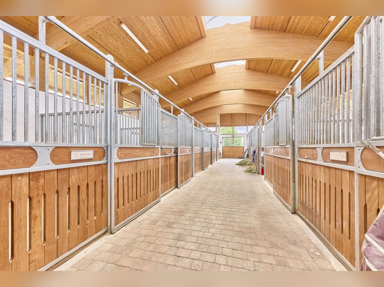 Luxurious estate with equestrian facilities near Fulda in Hesse – Wellness, horseback riding, and a 