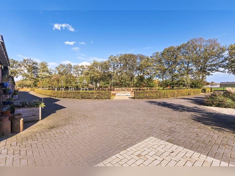 Luxury detached home with office outbuilding, wellness pool, gym & stables for 4 horses