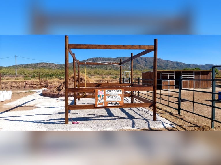 Luxury Equestrian Estate with Premium Country House