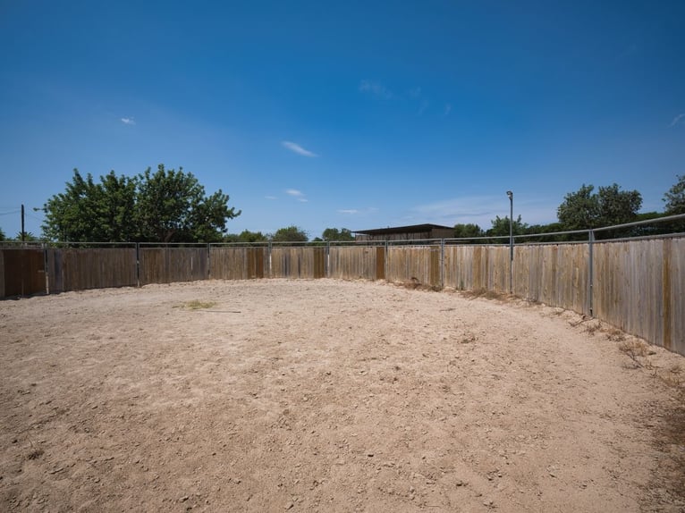 MALLORCA: Anwesen mit privater Reitanlage, 2 Häusern, 2 Pools nahe Palma!