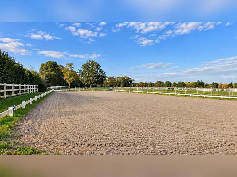 Modern Equestrian Property on 3.4 Hectares – Indoor Arena, 13 Stables, Salt Therapy Chamber & 2 Outd