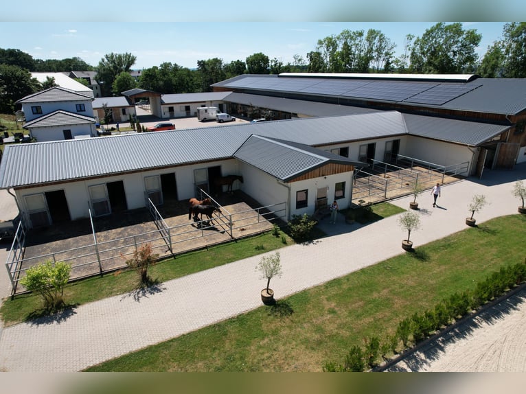 Moderne und rentable Reitanlage im Einzugsgebiet Bonn/Köln mit hochwertigem Wohnhaus