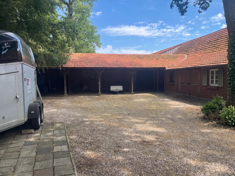 Modernized farmstead with equine facilities and a granny flat