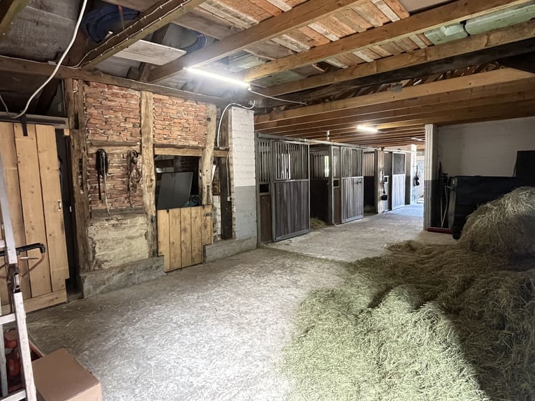 Modernized farmstead with equine facilities and a granny flat