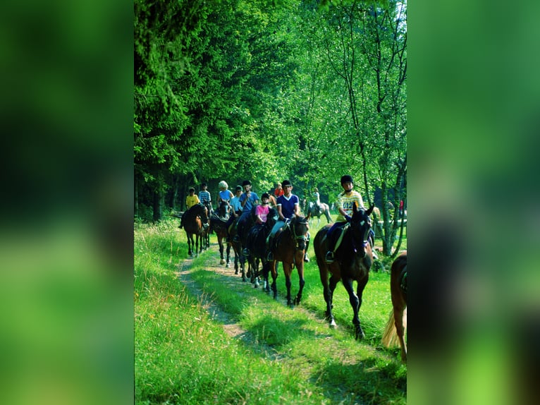 More than just a property – an exclusive estate with exceptional potential on 12 hectares