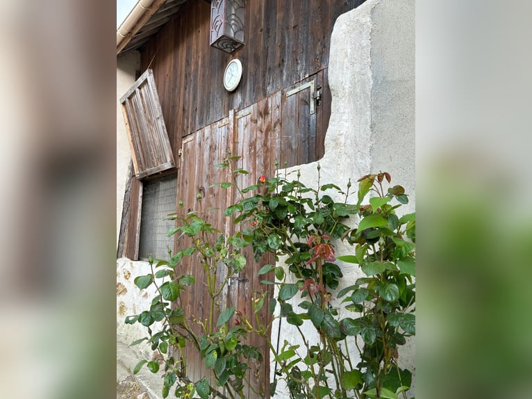 Multitalented Equestrian Facility in the Heart of Brie