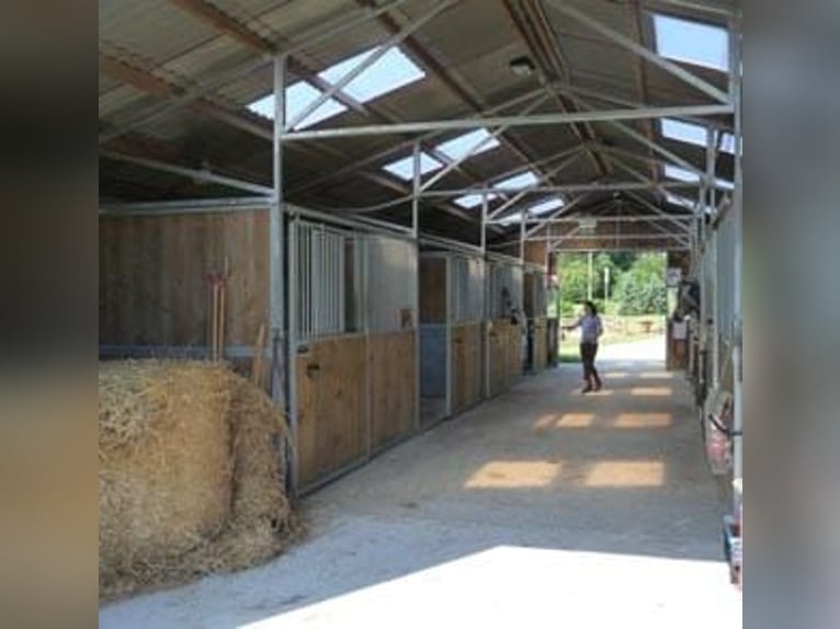 Multitalented Equestrian Facility in the Heart of Brie