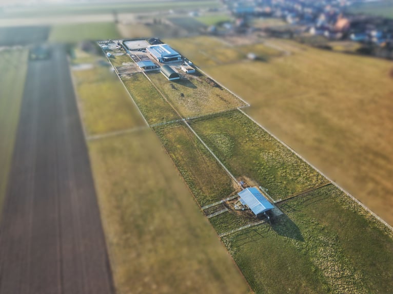 Na sprzedaż nowoczesny ośrodek jeździecki 