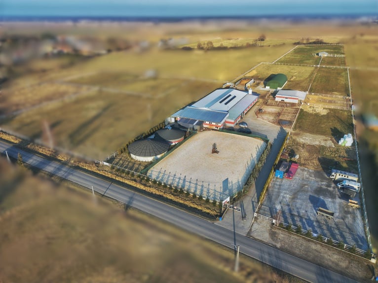 Na sprzedaż nowoczesny ośrodek jeździecki 