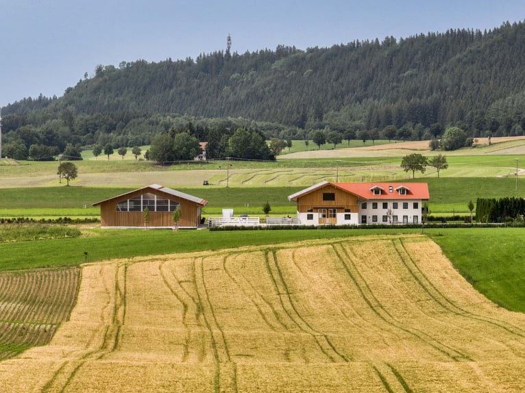 Neubau Reitanlage nähe Kempten im Allgäu