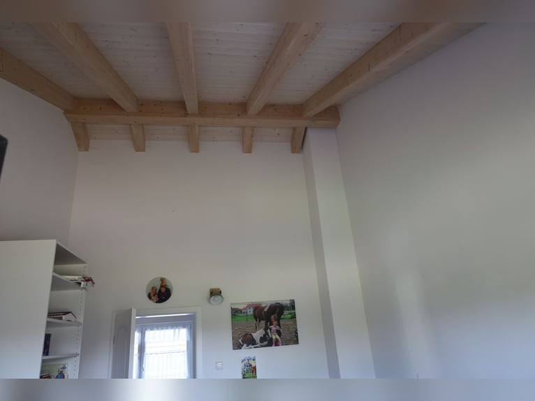 Newly built single-family home with 2.5 residential units *Equine facilities* 1,786 m² *Commission-f