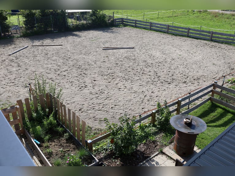 Newly built single-family home with 2.5 residential units *Equine facilities* 1,786 m² *Commission-f