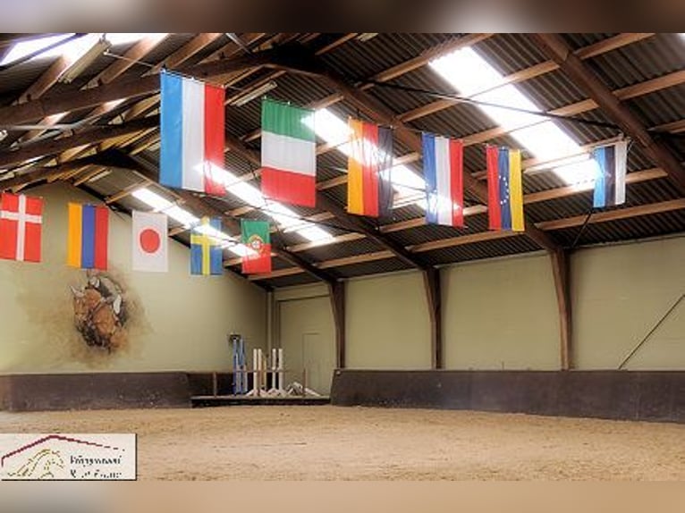 Noble estate for the highest standards, located at the border with Germany and the Netherlands.