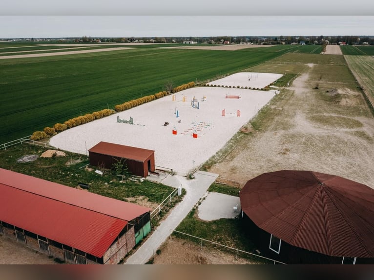 Operational riding center near Lublin