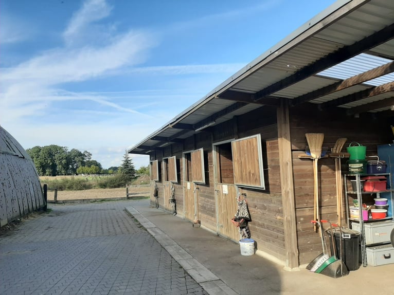 Outdoor stables with paddock