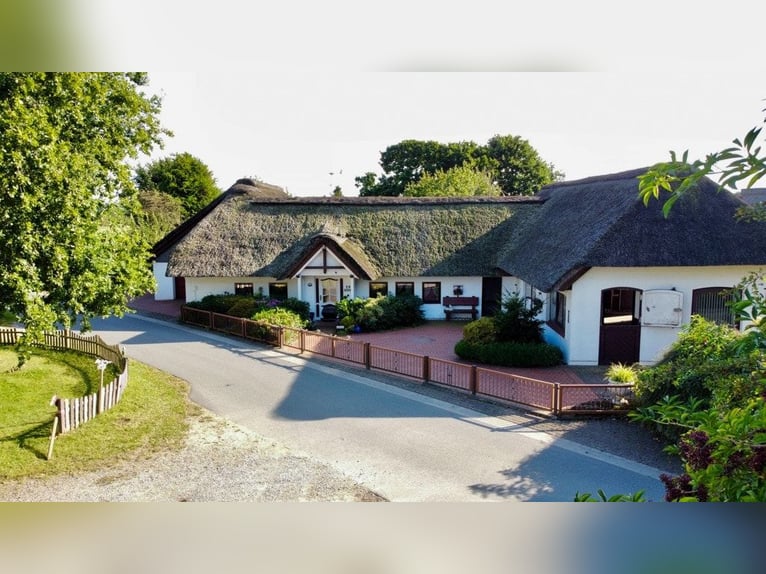 Paradies für Pferdeliebhaber: Reetdachanwesen auf ca. 3,38 ha großen Grundstück mit Nebengebäuden