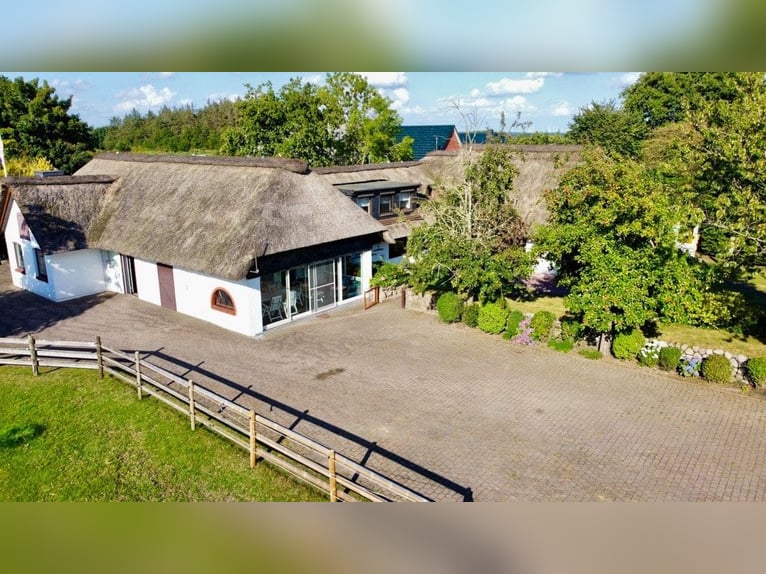 Paradies für Pferdeliebhaber: Reetdachanwesen auf ca. 3,38 ha großen Grundstück mit Nebengebäuden