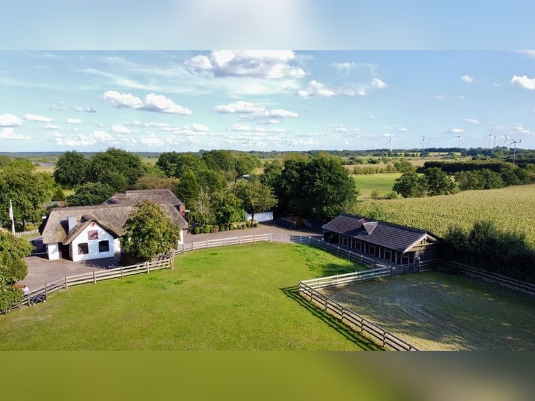 Paradies für Pferdeliebhaber: Reetdachanwesen auf ca. 3,38 ha großen Grundstück mit Nebengebäuden