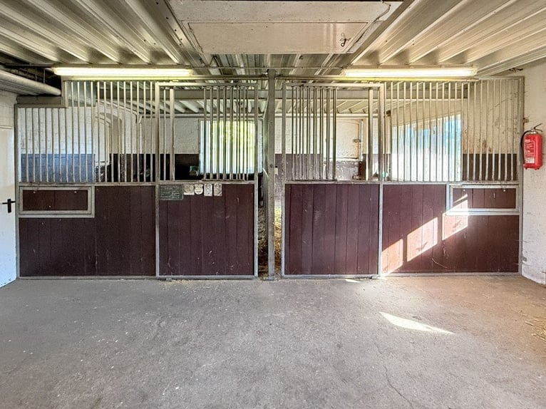 Paradies für Pferdeliebhaber: Reetdachanwesen auf ca. 3,38 ha großen Grundstück mit Nebengebäuden