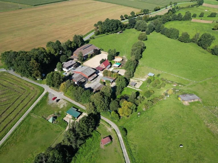 Partial sale of an established ranch and riding facility in the Reinhardswald area. Approximately 8 