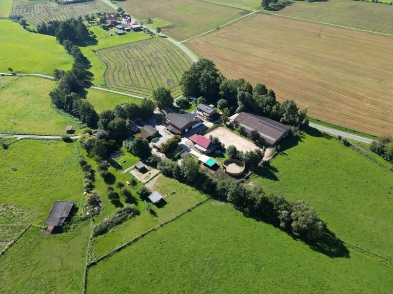 Partial sale of an established ranch and riding facility in the Reinhardswald area. Approximately 8 