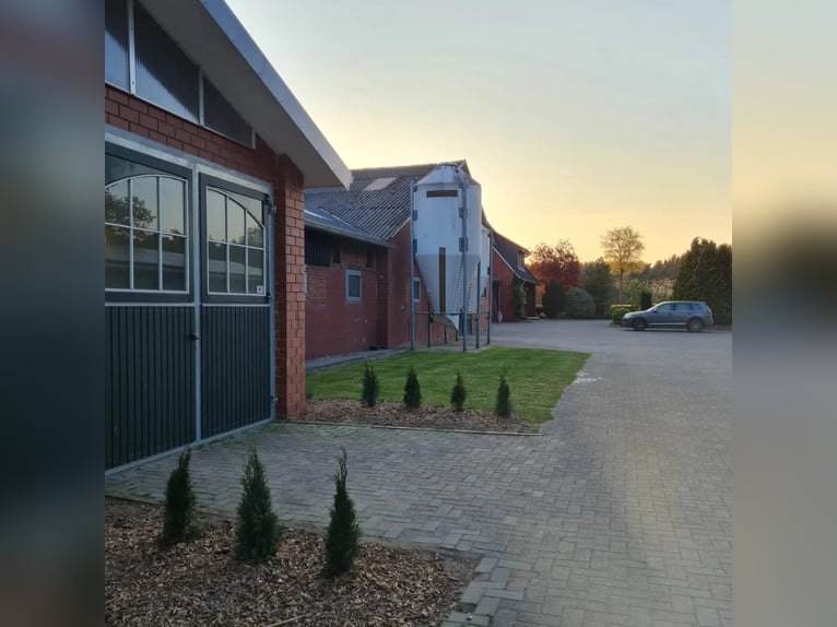 Pferdeboxen zu vermieten 