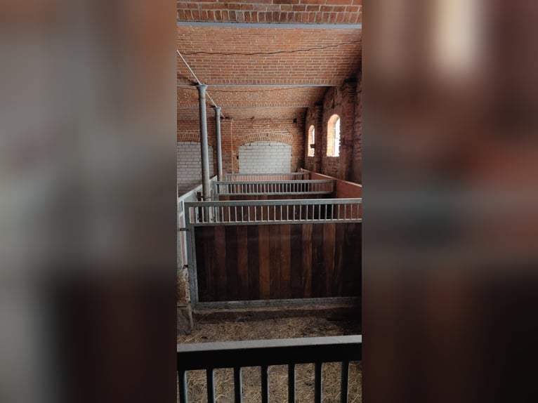Pferdehof mit historischem Wohnensemble in der Mecklenburgischen Schweiz