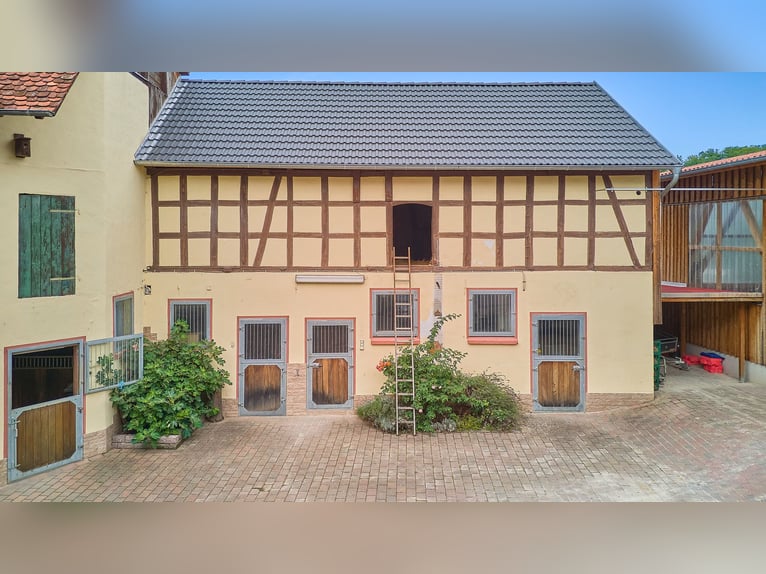 Pferdeimmobilie in Hessen – charmantes Fachwerkensemble mit Reithalle in Groß-Bieberau!