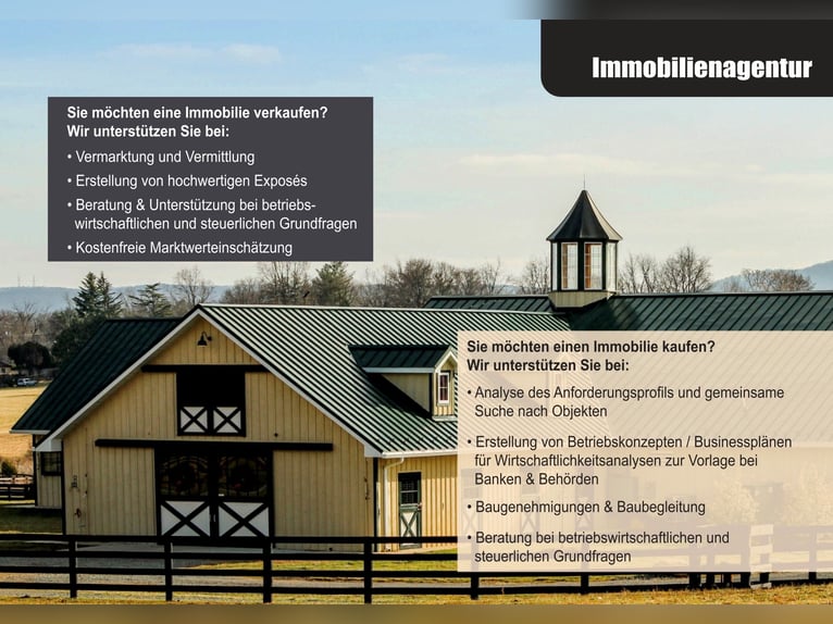 Pferdeimmobilie mit Ferienwohnungen in der Seenlandschaft Mecklenburg-Vorpommerns
