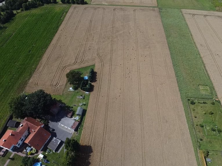 Pferdeliebe trifft auf Kapitalanlage – Sichern Sie sich Ihr Stück vom Paradies!