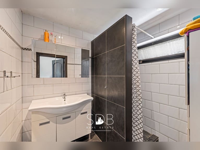 Prachtige landelijke woning met hippische accommodatie op 25.910m² te Antwerpen | België