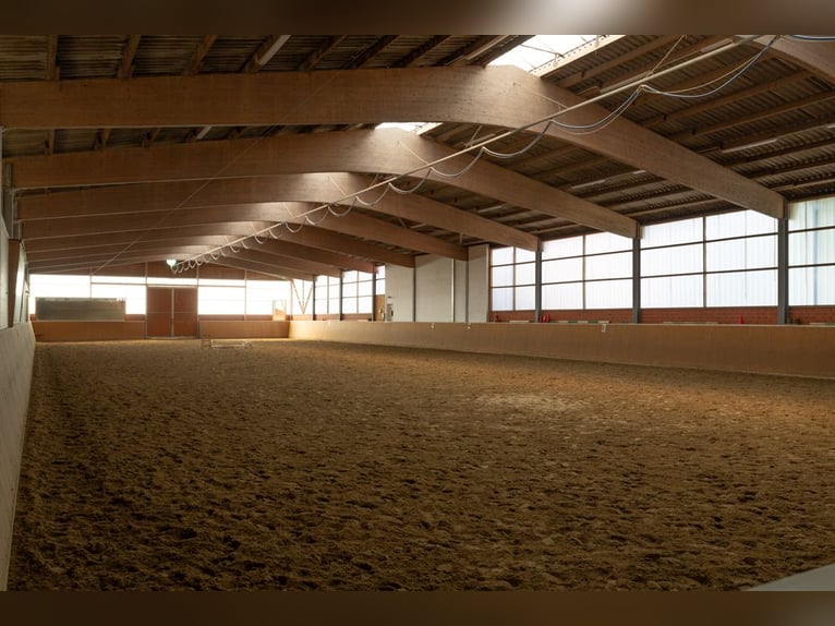 Prämierte und topgepflegte Reitsportanlage mit guter Anbindung in Riede!