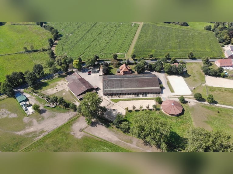 Prämierte und topgepflegte Reitsportanlage mit guter Anbindung in Riede!