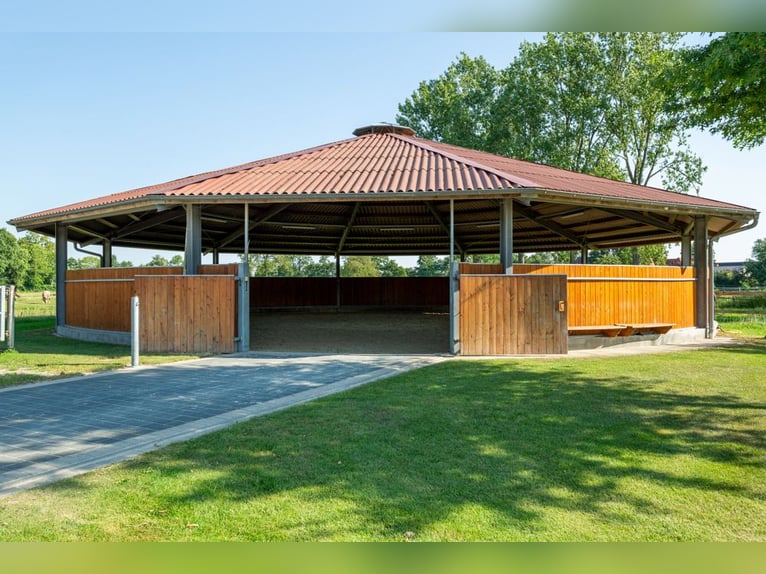 Prämierte und topgepflegte Reitsportanlage mit guter Anbindung in Riede!