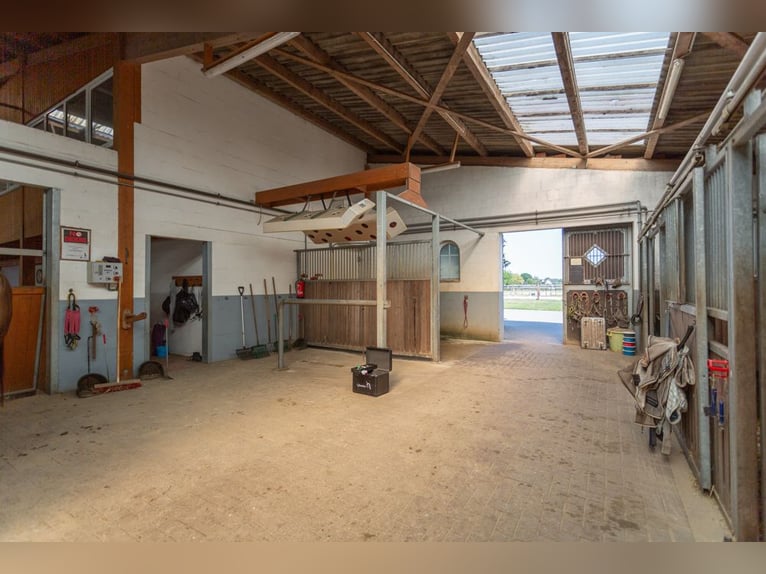 Prämierte und topgepflegte Reitsportanlage mit guter Anbindung in Riede!