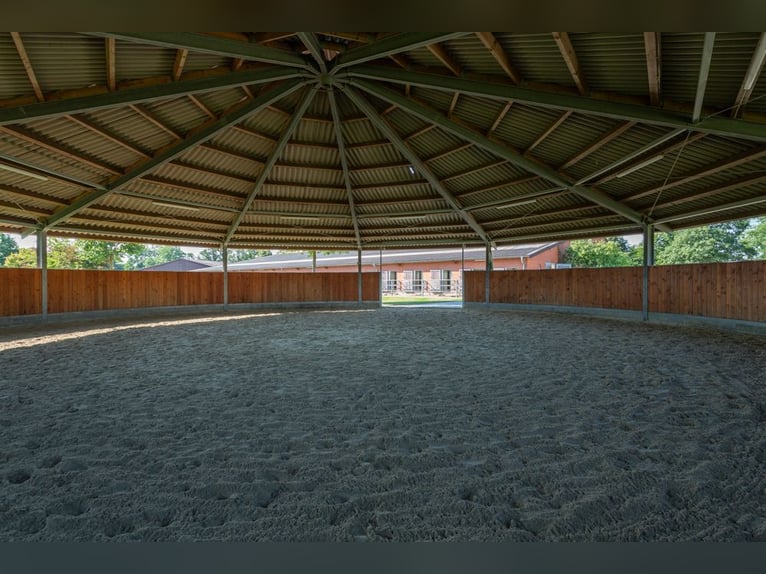 Prämierte und topgepflegte Reitsportanlage mit guter Anbindung in Riede!