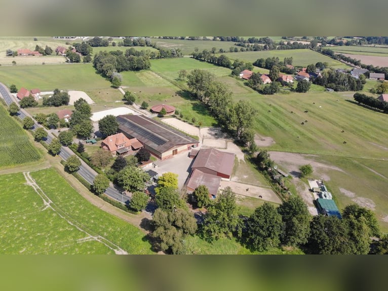 Prämierte und topgepflegte Reitsportanlage mit guter Anbindung in Riede!