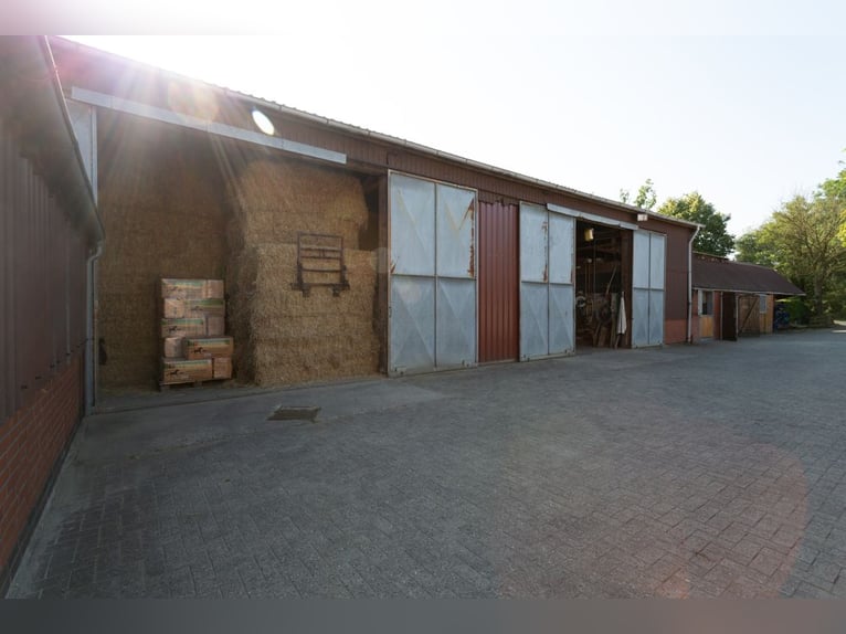 Prämierte und topgepflegte Reitsportanlage mit guter Anbindung in Riede!