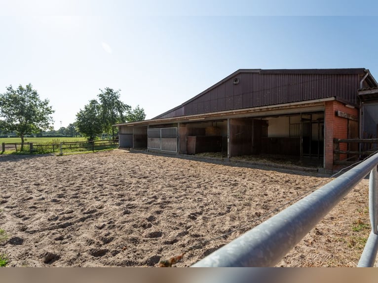 Prämierte und topgepflegte Reitsportanlage mit guter Anbindung in Riede!