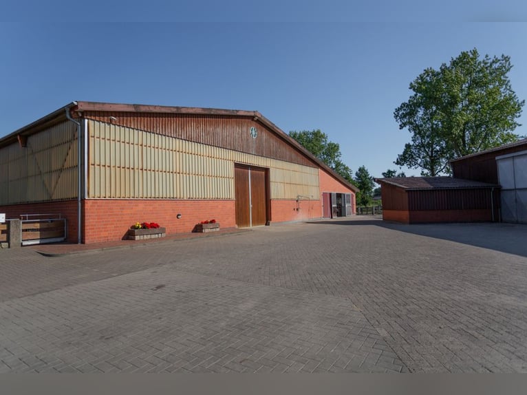 Prämierte und topgepflegte Reitsportanlage mit guter Anbindung in Riede!