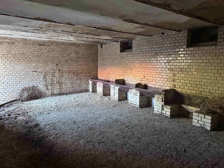 Preisreduzierung: Historisches Fachwerkhaus mit Scheunengebäude, Pferdehaltung und Offenstall