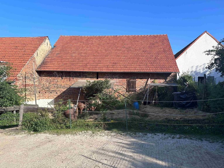Preisreduzierung: Historisches Fachwerkhaus mit Scheunengebäude, Pferdehaltung und Offenstall