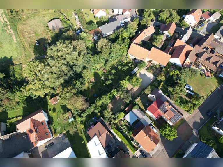 Preisreduzierung: Historisches Fachwerkhaus mit Scheunengebäude, Pferdehaltung und Offenstall