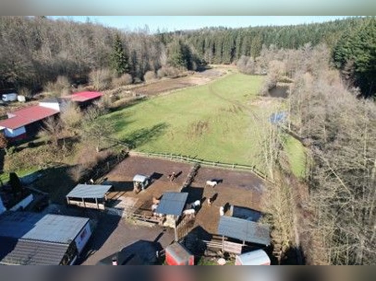 Preisreduzierung: Reiterhof mit Jugendunterkünften & Hotelbetrieb – Bestehender Betrieb
