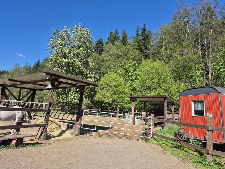 Preisreduzierung: Reiterhof mit Jugendunterkünften & Hotelbetrieb – Bestehender Betrieb