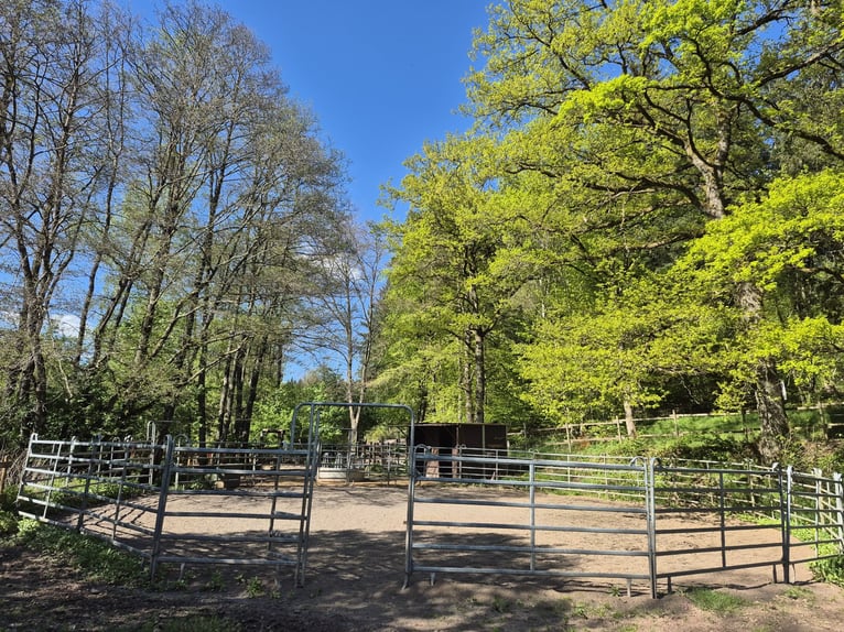 Preisreduzierung: Reiterhof mit Jugendunterkünften & Hotelbetrieb – Bestehender Betrieb