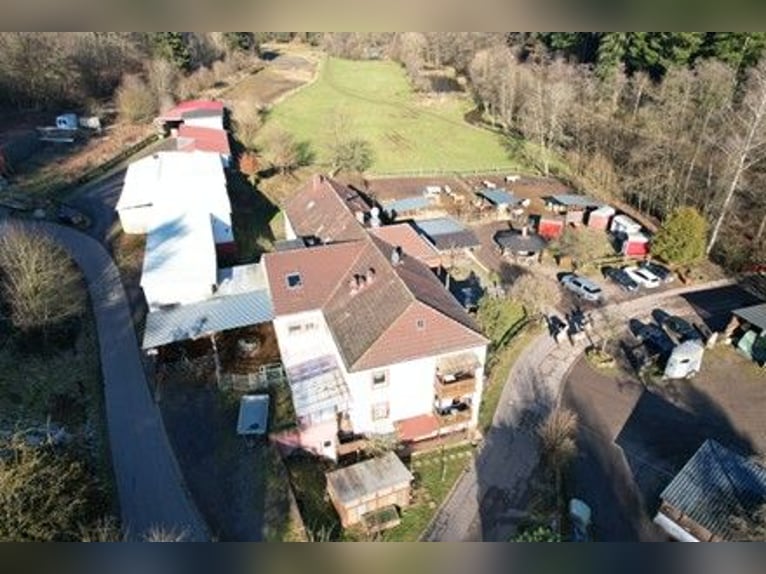Preisreduzierung: Reiterhof mit Jugendunterkünften & Hotelbetrieb – Bestehender Betrieb