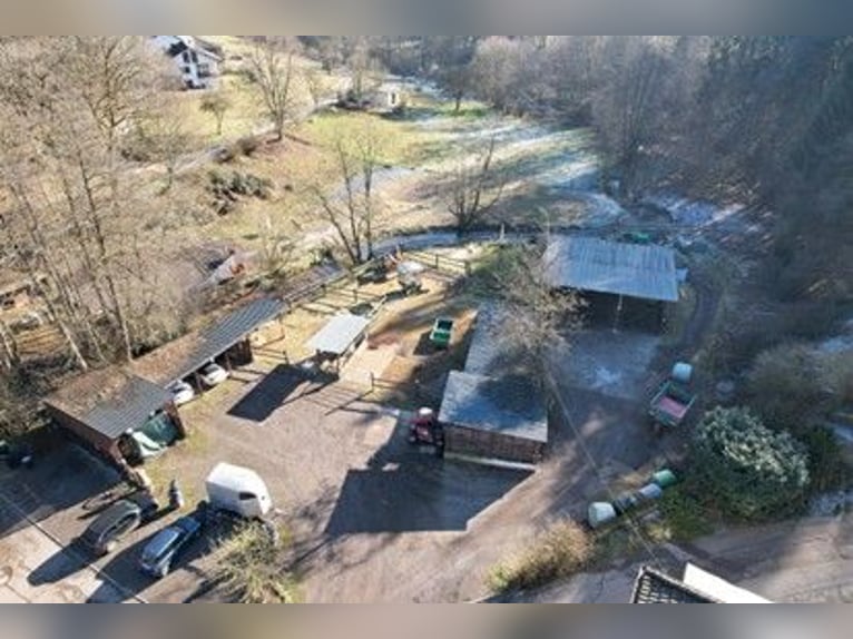 Preisreduzierung: Reiterhof mit Jugendunterkünften & Hotelbetrieb – Bestehender Betrieb